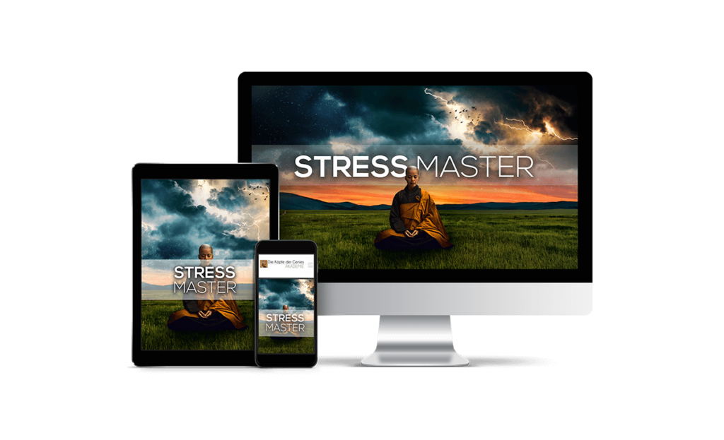 Online-Kurs Stress Master Emotionale Freiheit und innerer Frieden von Köpfe der Genies